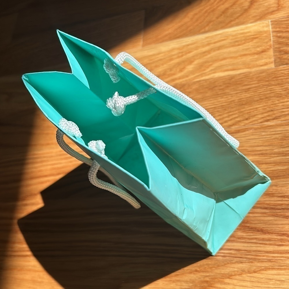 Tiffany and co rope handle merch bag / Tiffany blue and white handle - Picture 6 of 8
